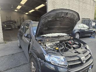 Dacia Sandero Stepway picture 9