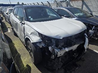 škoda osobní automobily Peugeot 2008  2021/6