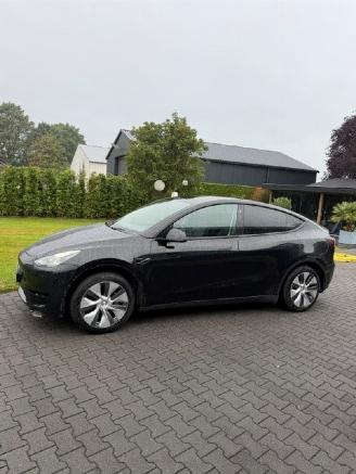 Tesla Model Y RWD 58 kwh picture 8