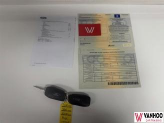 Ford Fiesta  picture 22