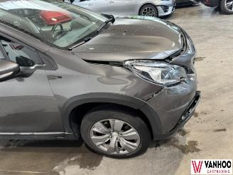 Peugeot 2008  picture 5