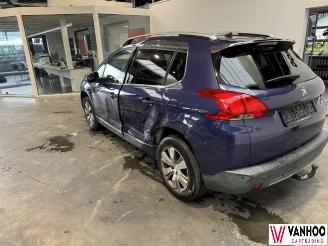 Peugeot 2008  picture 6