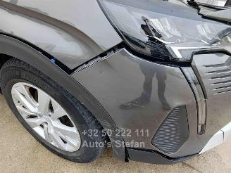 Peugeot 3008 ACTIVE picture 18