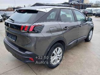 Peugeot 3008 ACTIVE picture 6
