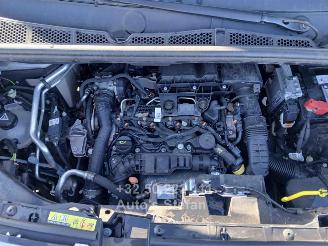 Fiat Doblo  picture 25