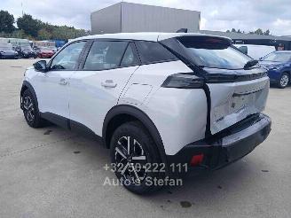 Peugeot 2008 STYLE picture 20