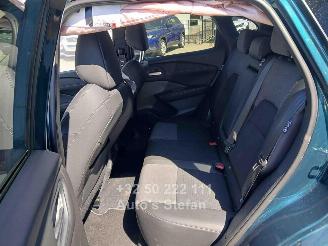 Nissan Qashqai E-POWER BUSINESS PREMIUM picture 17