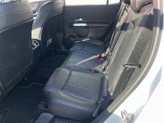 Mercedes GLB 200.GLB LEDER/NAVI/LED/CAMERA picture 21