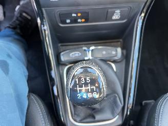 Ford EcoSport ACTIVE -LEDER-NAVI-KLIMATRONIK picture 21