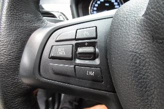 BMW X1 SUV picture 28