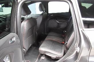 Ford Kuga ST-LINE picture 16