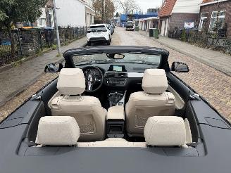 BMW 2-serie 218i M PAKKET CABRIO picture 28