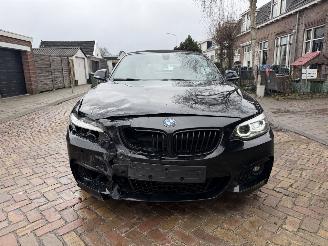 BMW 2-serie 218i M PAKKET CABRIO picture 3