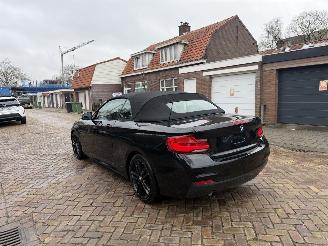 BMW 2-serie 218i M PAKKET CABRIO picture 12