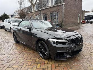 BMW 2-serie 218i M PAKKET CABRIO picture 4