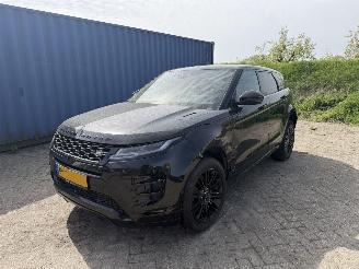  Land Rover Range Rover Evoque 2.0 D180 AWD R-Dynamic 2019/1