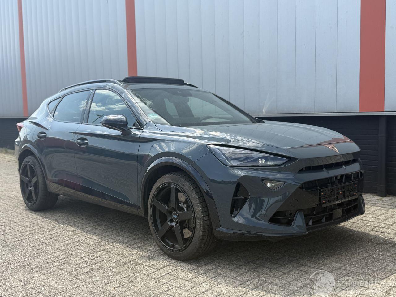 Cupra Formentor 2.0 VZ 245 KW AKRA  PANO SFEER