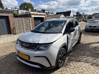Schadeauto BYD Dolphin Comfort 60.4 kWh NAP 2024/1