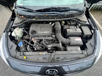 Kia Rio 1.0TGDI DESIGN EDITION picture 19