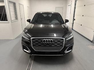 Audi Q2  picture 2