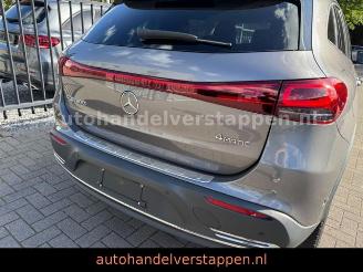 Mercedes EQA 300 4Matic Luxery line picture 4