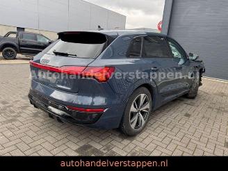 Voiture accidenté Audi Q8 e-tron 55 Quattro S line Panorama 2023/9