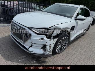 Audi E-tron 55 Quattro Advanced 93KWH picture 6