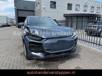 Audi Q6 e-tron 185 kW 83KWH NAVI LEDER LED AHK picture 2