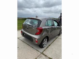 Kia Picanto Picanto (JA), Hatchback, 2017 1.0 12V picture 18