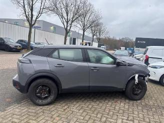 Peugeot 2008 2008 (UD/UK/UR/US/UX), MPV, 2019 e-2008 54 kWh picture 3