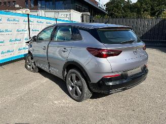 Opel Grandland (X) 1.2 Turbo (96kW) GS picture 3