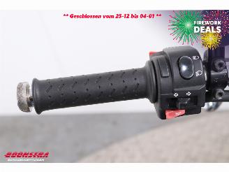 Triumph Bonneville T100 SE BY 2012 picture 18