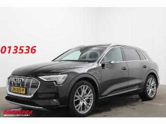 Unfallwagen Audi E-tron 55 Quattro MirrorCam 360° Memory SHZ AHK 2019/5