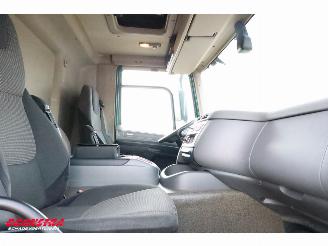 DAF CF 290 FA Kuhler Thermo King Dhollandia Euro 6 picture 18