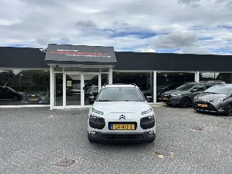 Citroën C4 cactus 1.2 Pure Tech Shine picture 3