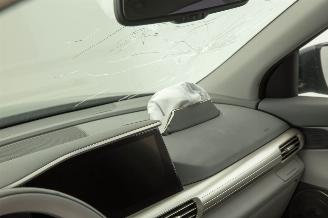 Hyundai Nexo FCEV Plus Pack Leer picture 37