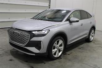 škoda osobní automobily Audi Q4 e-tron 2024/6