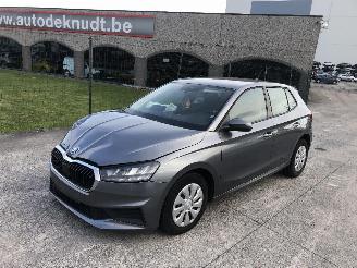 Auto incidentate Skoda Fabia 1.0 1901/1
